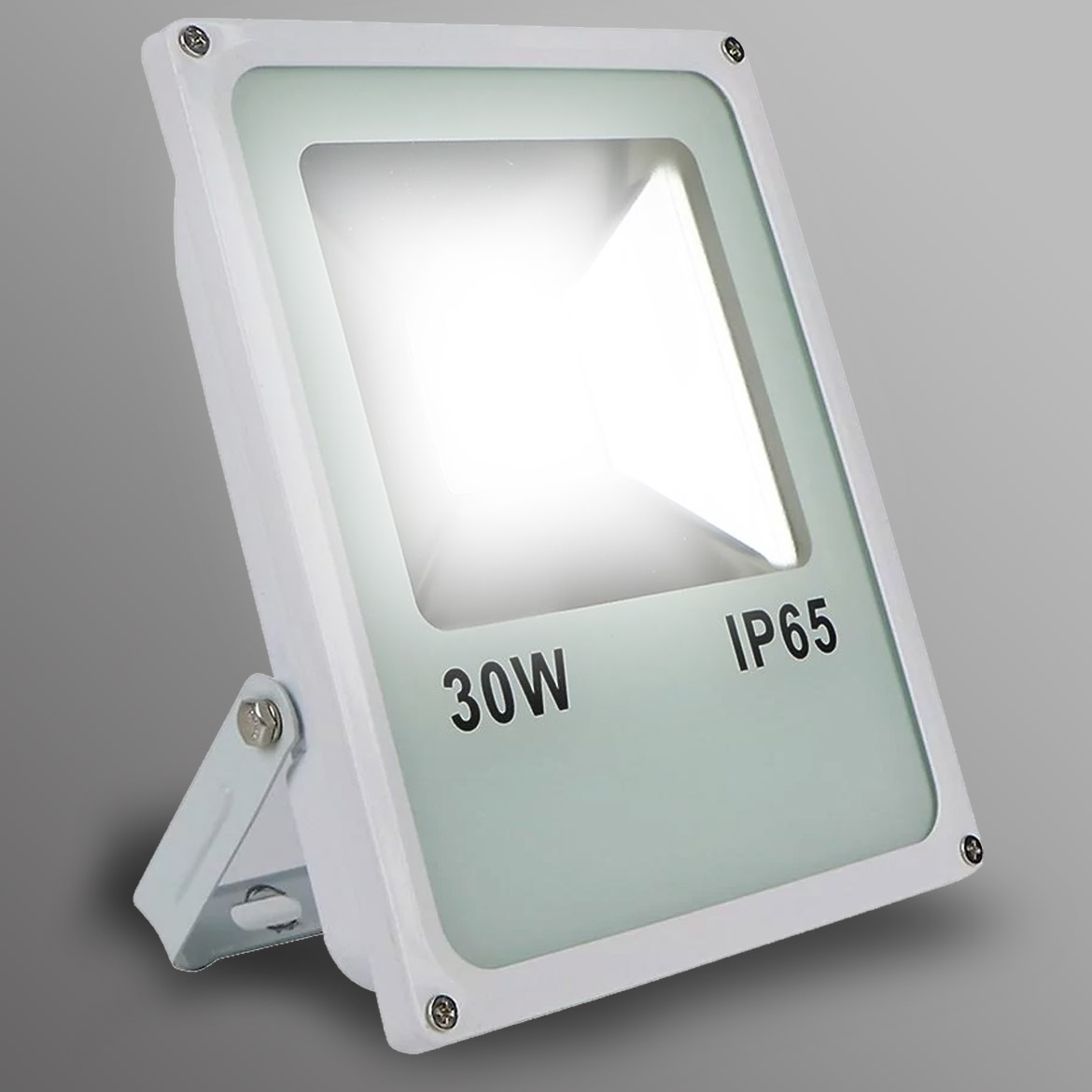 30w reflektor
